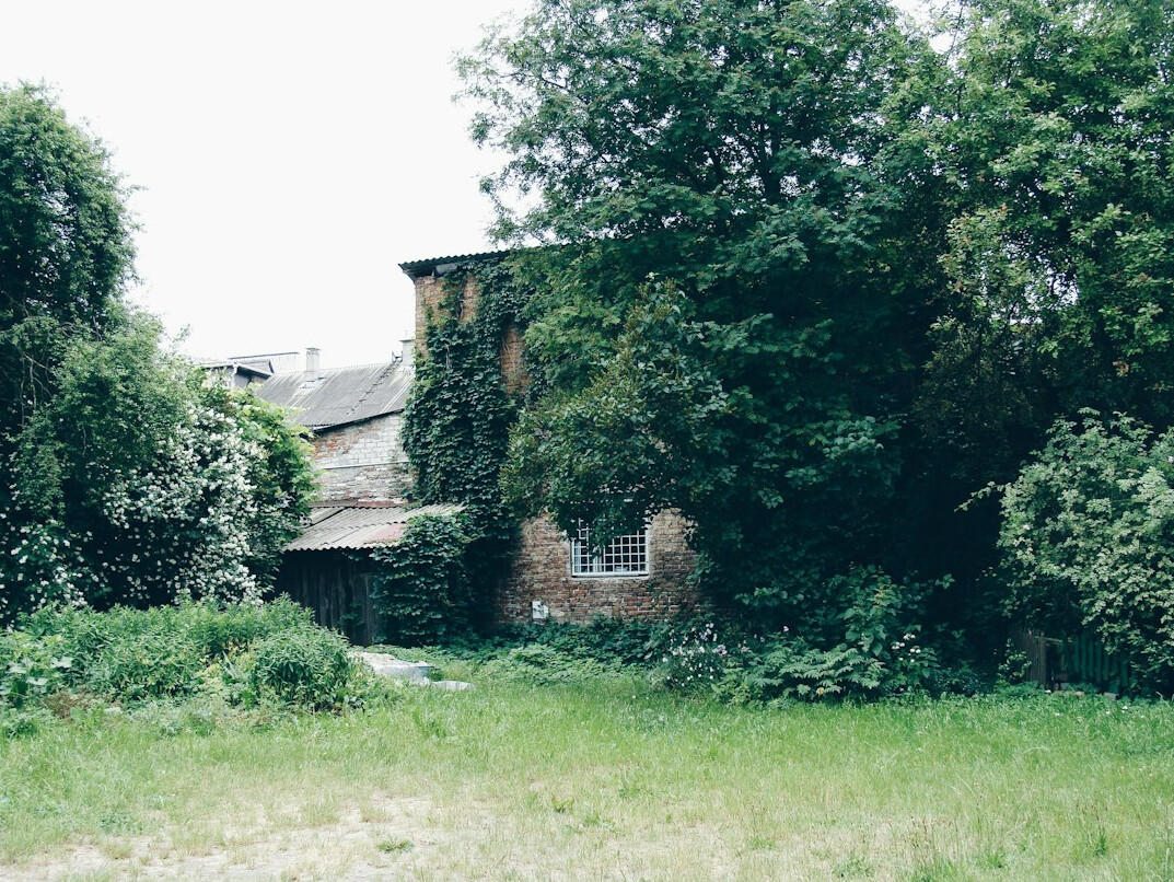 Abandoned old house with overgrown garden at dusk
