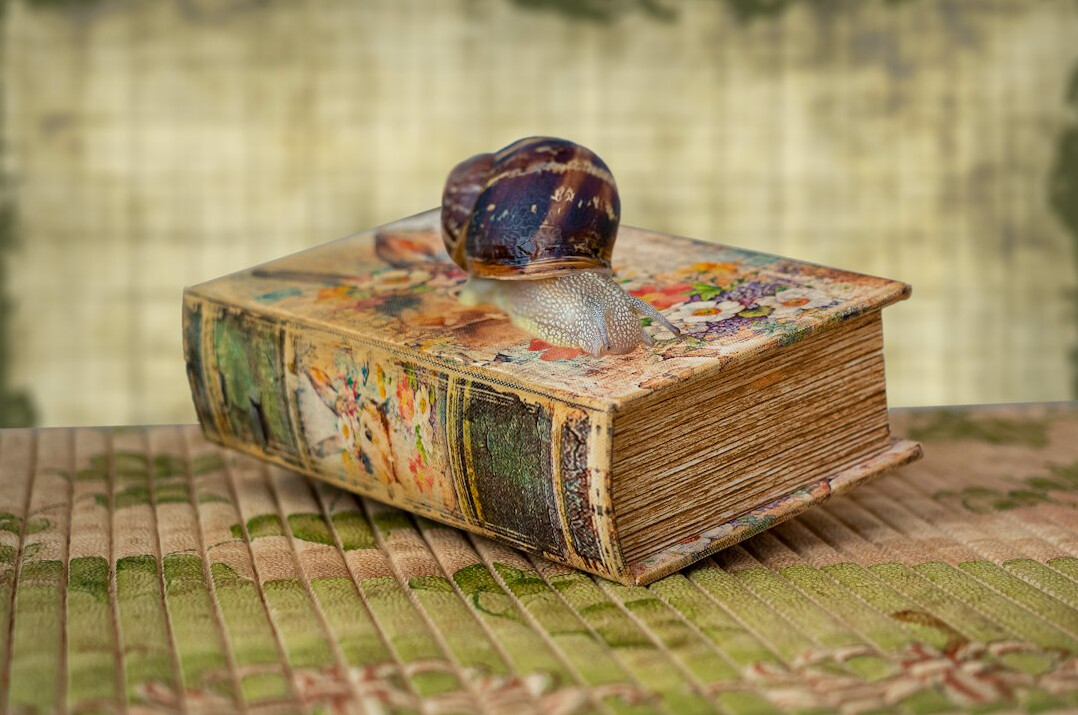 hidden secret book